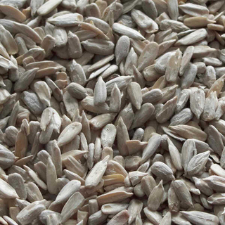 Sunflower Kernels
