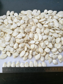 Snow White Pumpkin Seeds