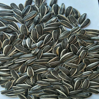 Sunflower Seeds