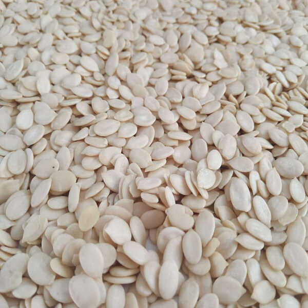 Watermelon Seeds And Kernels