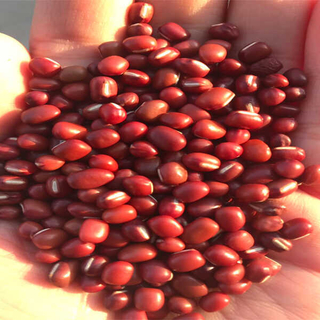 Adzuki Beans