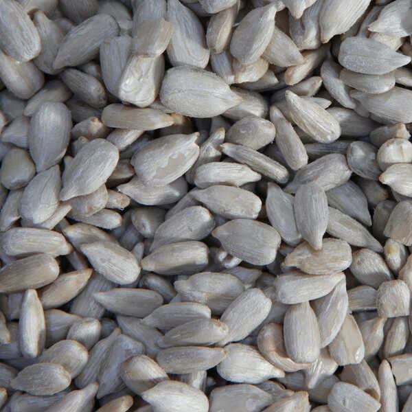 Sunflower Kernels Buy Sunflower, Sunflower kernels, confectionary Product on Baoqing Crown