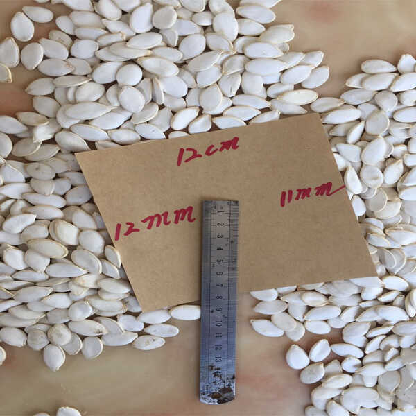 Snow White Pumpkin Seeds