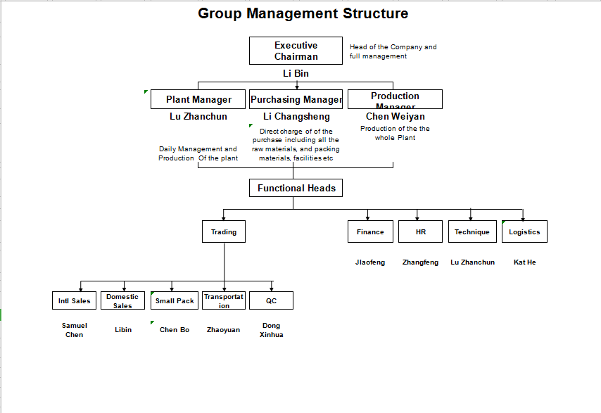 Understanding the structure of our company!